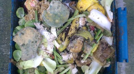 food-waste-sudest-asiatico